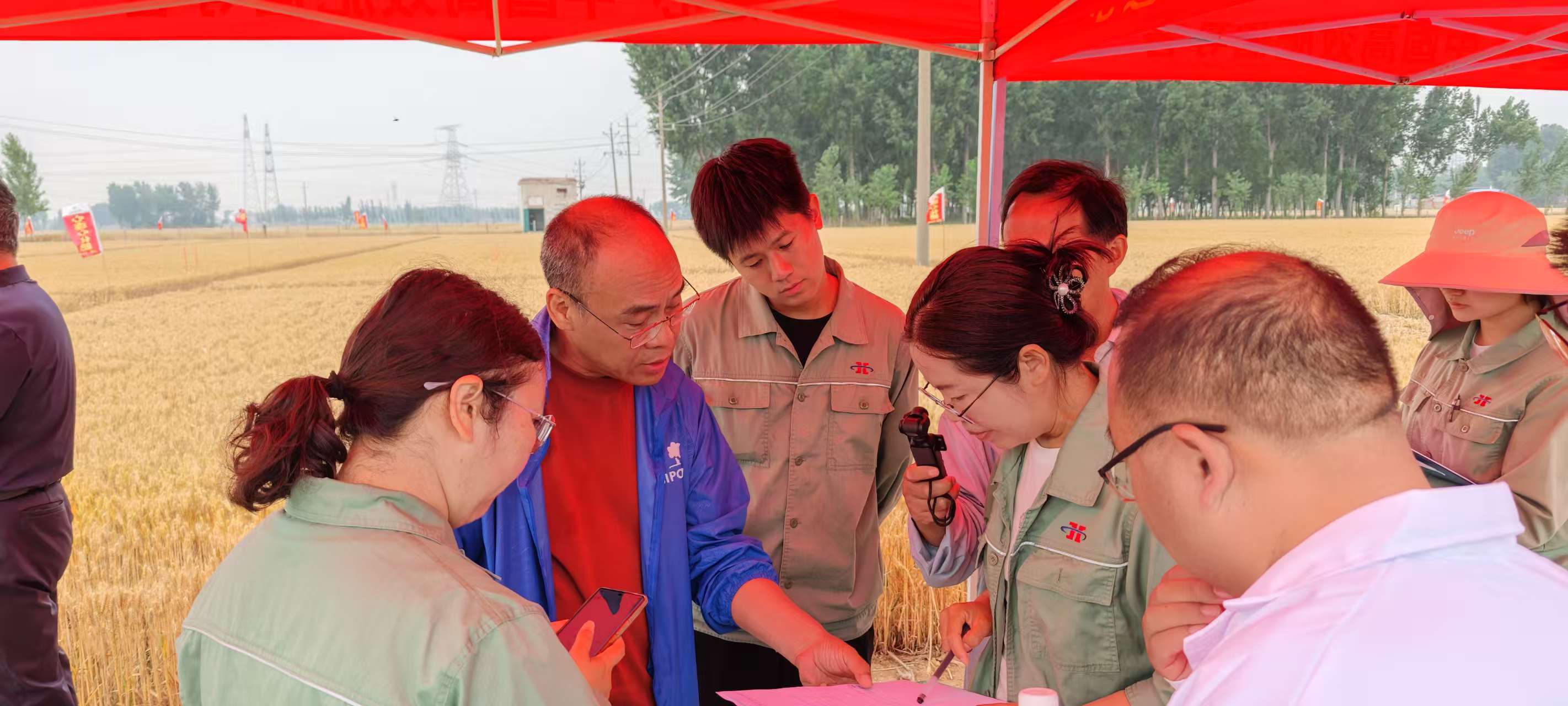 高溫旱情下科技賦能農業(yè)!心連心集團主持的兩個“十四五”課題交出亮眼成績單